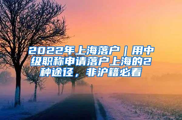 2022年上海落户｜用中级职称申请落户上海的2种途径，非沪籍必看