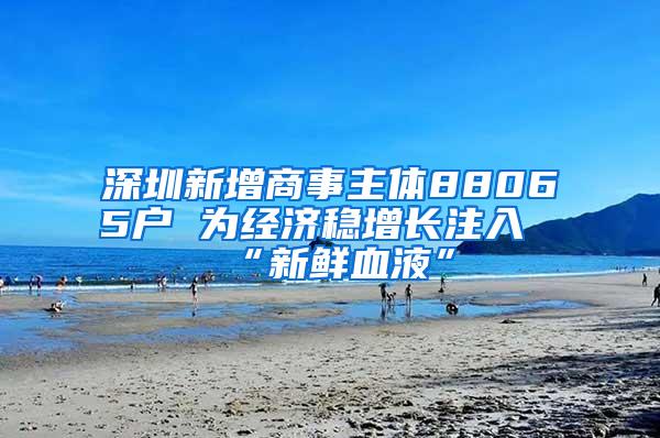 深圳新增商事主体88065户 为经济稳增长注入“新鲜血液”